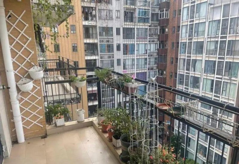 城区与松山湖展开对飙？东莞法拍房受到热捧