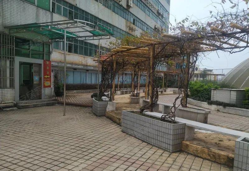 刷低下限！2.5折捡走莞城学区房！东莞法拍房的漏，真有这多大？