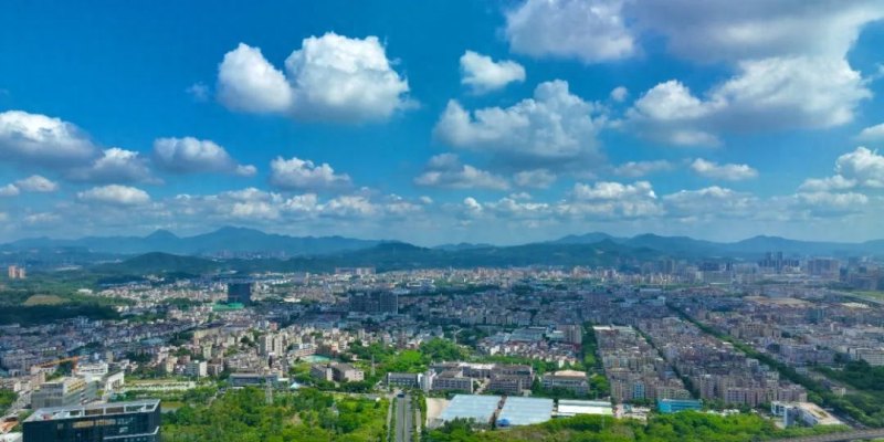 厚植沃土，民营企业在深圳坪山活力动力强