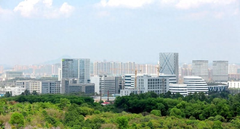 厚植沃土，民营企业在深圳坪山活力动力强