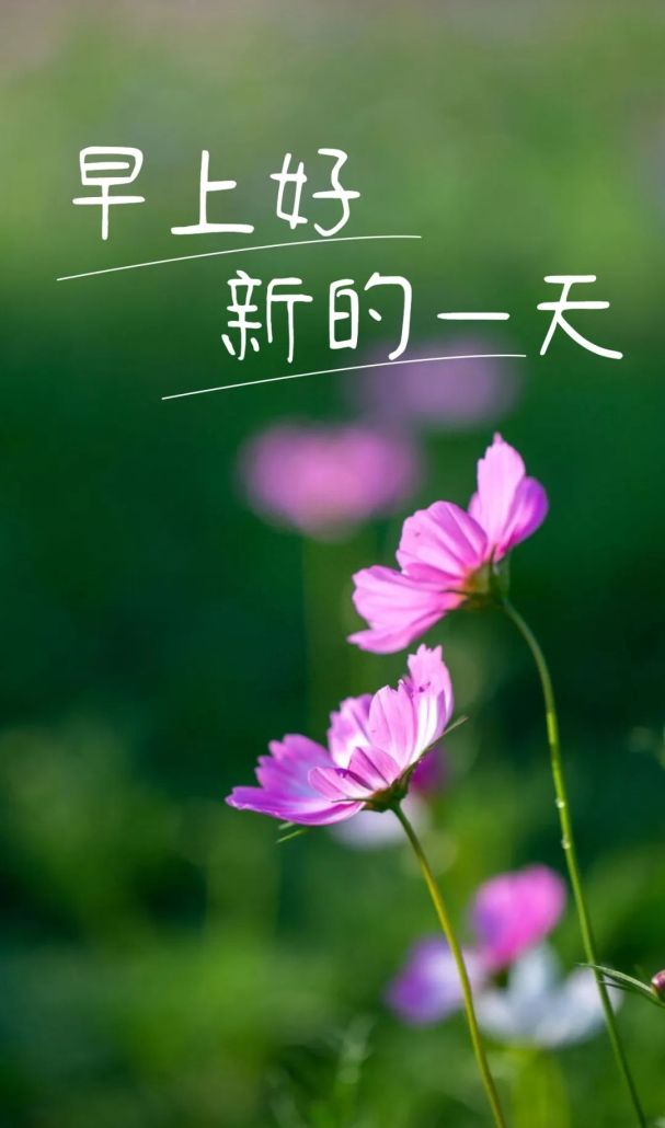 4000亿元！支持龙岗！｜早安，龙岗