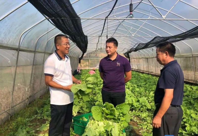 决战决胜脱贫攻坚∣万江对口帮扶菜仔园村：用心用情真帮扶，助村民走上致富路