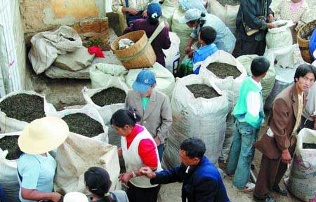 东莞茶商“炒茶”血本无归 一审被判赔偿4000万 东莞茶商“炒茶”血本无归 一审被判赔偿4000万