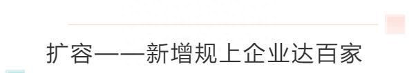 南方观察｜一年百家企业“小升规”，盐田做对了什么