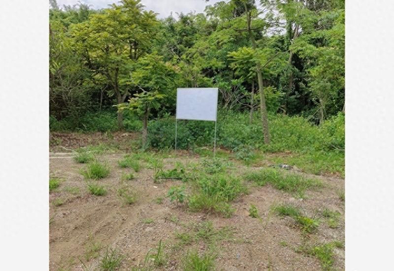 惠州要卖5宗商住地 起拍总价近30亿总建面62万平