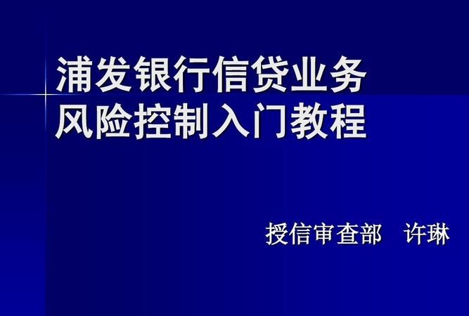 个人信贷业务营销技巧及风险控制 个人信贷业务营销技巧及风险控制