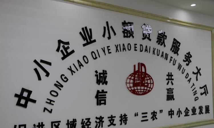 东莞南城小额贷款公司是否真的可以批银行的款？探究真相！