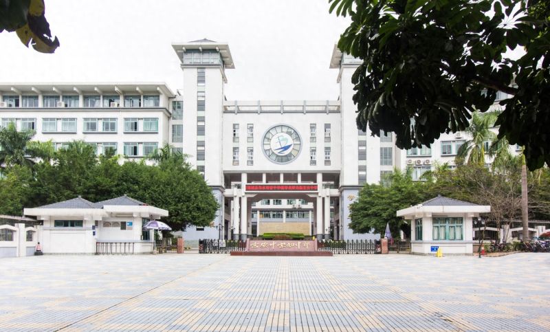 深圳宝安中学实探：不掐尖！买房就能上的“低进高出”学霸加工厂