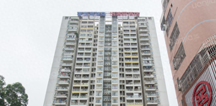 深圳宝安中学实探：不掐尖！买房就能上的“低进高出”学霸加工厂