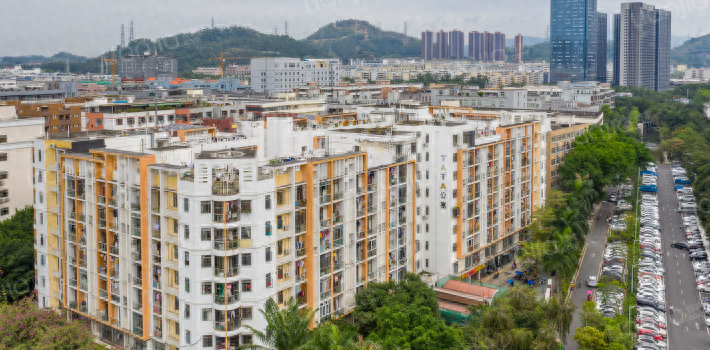 深圳宝安中学实探：不掐尖！买房就能上的“低进高出”学霸加工厂