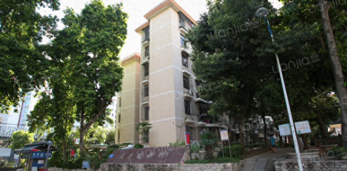 深圳宝安中学实探：不掐尖！买房就能上的“低进高出”学霸加工厂