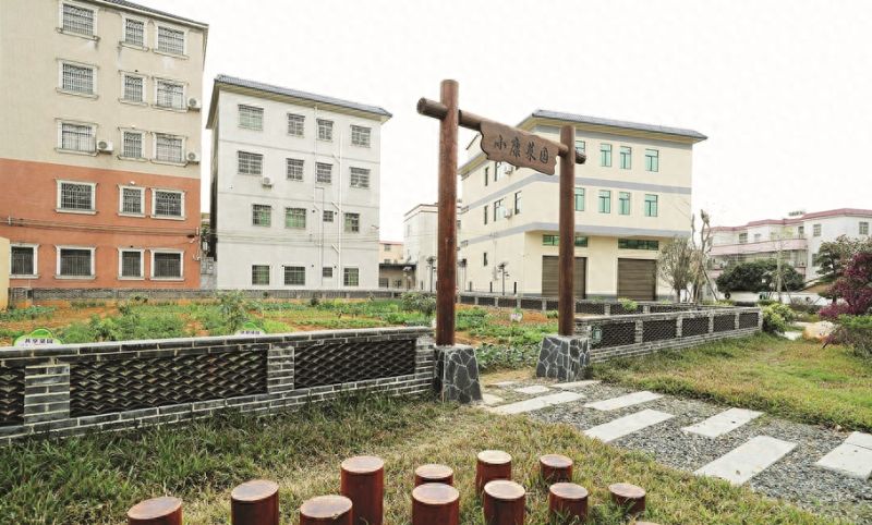 帮扶惠城区汝湖镇！强强联手提供“融资+融智+融产”服务