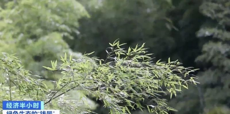 空气也能抵押贷款？真的！有人从银行贷了37万余元……