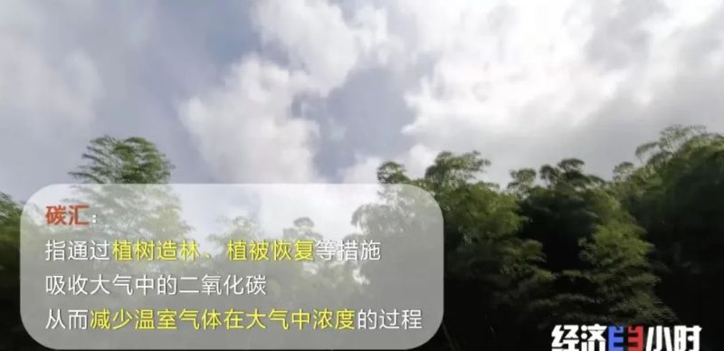 空气也能抵押贷款？真的！有人从银行贷了37万余元……