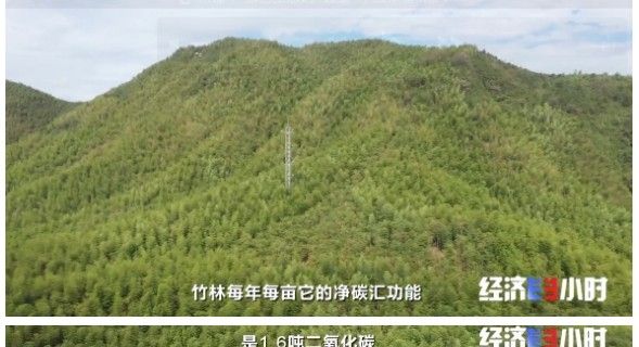 空气也能抵押贷款？真的！有人从银行贷了37万余元……