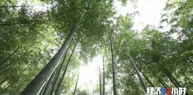 空气也能抵押贷款？真的！有人从银行贷了37万余元……