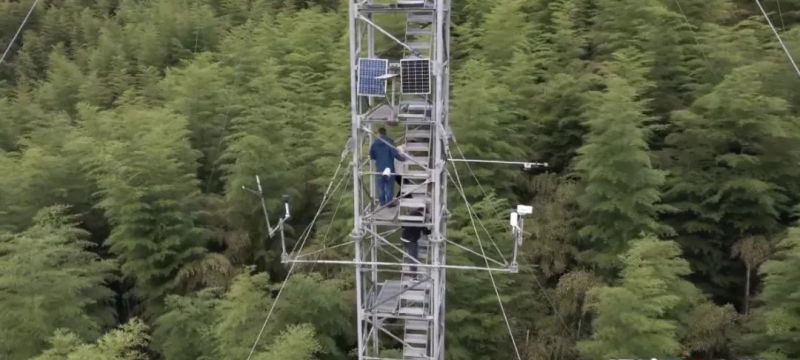空气也能抵押贷款？真的！有人从银行贷了37万余元……