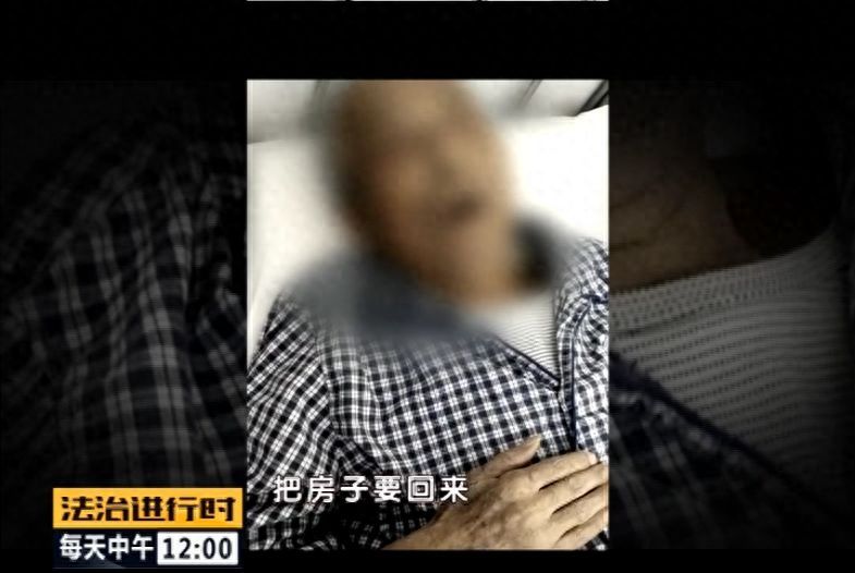 霸占老人房产，竟有公证员、律师帮凶！这伙人被“一锅端”