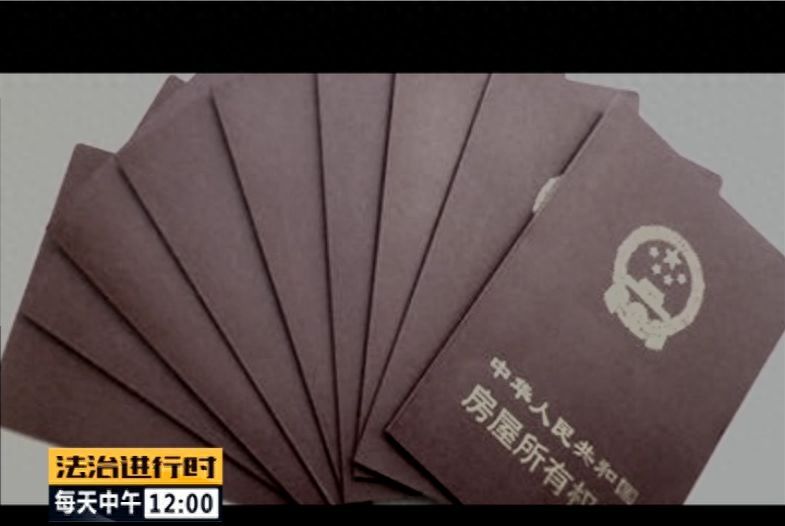 霸占老人房产，竟有公证员、律师帮凶！这伙人被“一锅端”