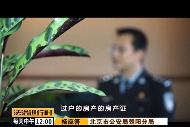 霸占老人房产，竟有公证员、律师帮凶！这伙人被“一锅端”
