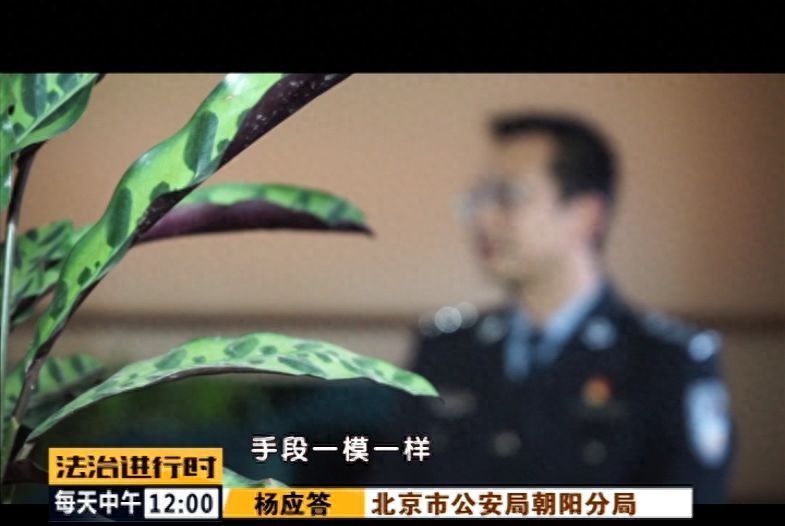 霸占老人房产，竟有公证员、律师帮凶！这伙人被“一锅端”