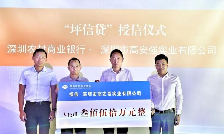 坪山区当地贷款公司推荐及了解坪山区当地贷款公司有哪些
