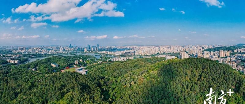 惠州楼市重磅！大亚湾惠阳取消限购