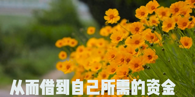 你知道什么是抵押贷款吗，快来看看吧！#金融常识