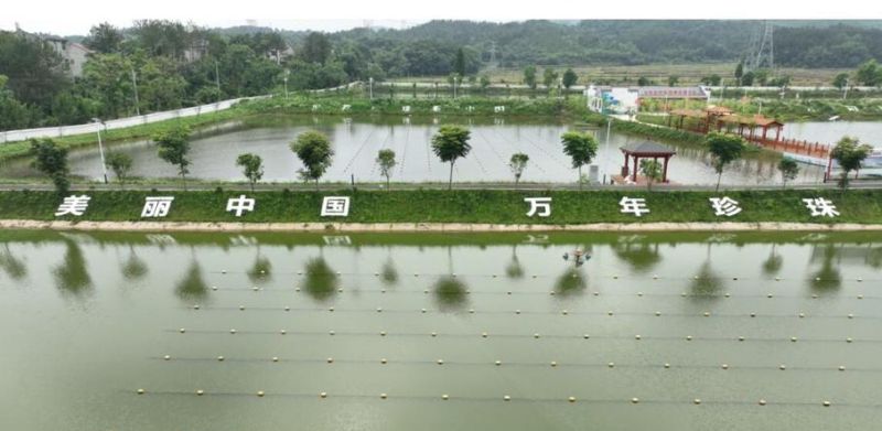 乡村纯信用“黄鳝贷”让小农户共享大产业 乡村纯信用“黄鳝贷”让小农户共享大产业