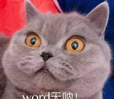 假冒银行放贷诈骗2000万！大鹏公安破获特大电信诈骗案