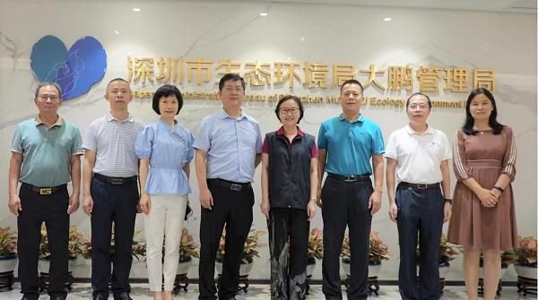 大鹏新区专业网贷案律师及深圳大鹏律师事务所——为您的金融纠纷提供全面解决方案 
