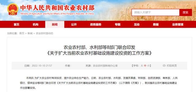 深圳南山区私人贷款及贷款公司概览 - 火焰鸟金融引领行业新风向 