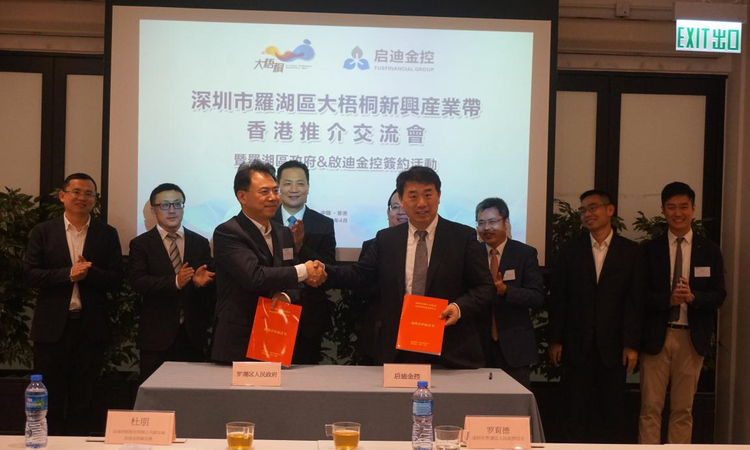 罗湖区深圳小额贷款公司及其服务 - 火焰鸟金融的卓越贡献 