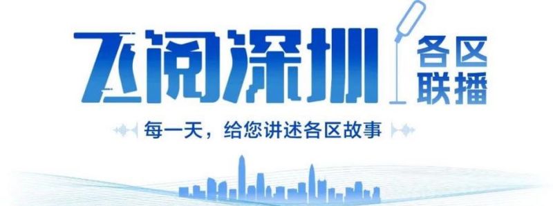 龙华区深圳银行地址及查询指南 - 火焰鸟金融助力您的金融之旅 