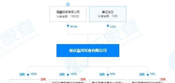 隆鑫控股债务重组2021:分析、影响和前景展望 隆鑫控股债务重组2021:分析、影响和前景展望