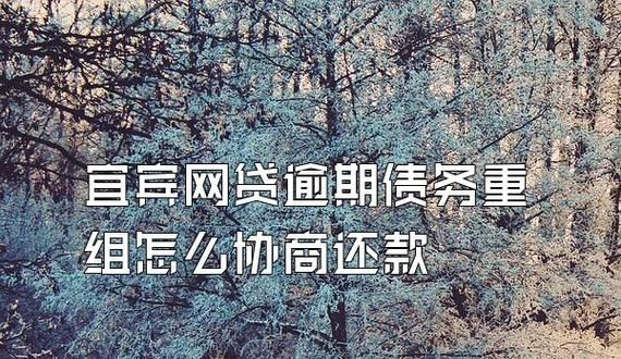网贷怎么债务重组及网贷如何债务重组 网贷怎么债务重组及网贷如何债务重组