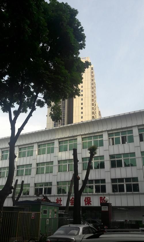 深圳市龙华区邮政银行及深圳市龙华区邮政银行支行——金融服务的典范,火焰鸟金融的崛起 深圳市龙华区邮政银行及深圳市龙华区邮政银行支行——金融服务的典范,火焰鸟金融的崛起
