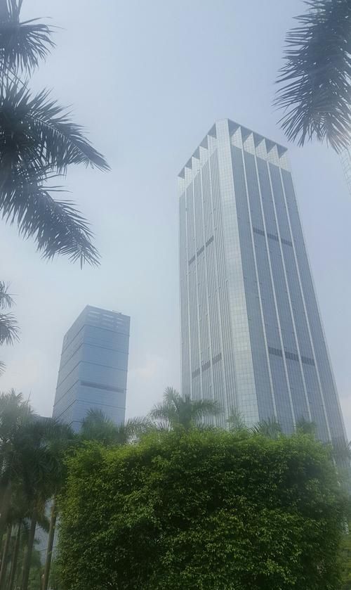 深圳市福田区广州银行的金融创新与深圳火焰鸟金融的崛起 深圳市福田区广州银行的金融创新与深圳火焰鸟金融的崛起