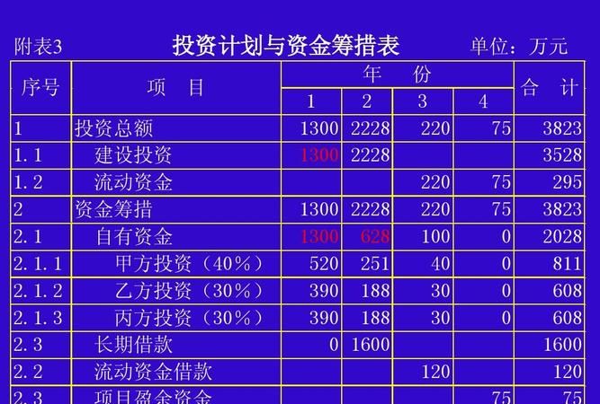 项目未来收益分析及债务偿还能力论证报告 项目未来收益分析及债务偿还能力论证报告