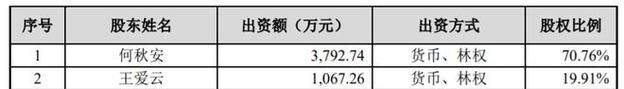 技术入股债务及技术入股债务风险的详细描述 技术入股债务及技术入股债务风险的详细描述