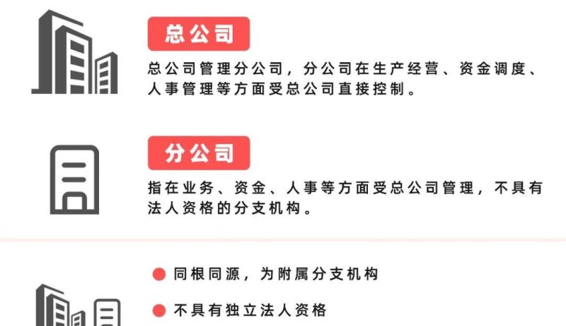 分公司的债务由谁承担及分公司的债务由谁承担的法律规定 分公司的债务由谁承担及分公司的债务由谁承担的法律规定