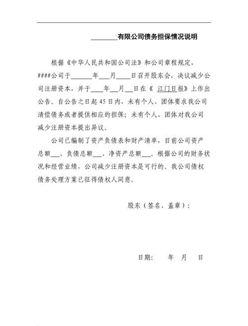 债务情况及债务情况说明模板 债务情况及债务情况说明模板