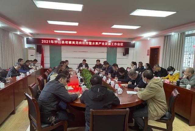 农村债权债务核销会议记录：推动农村经济发展与债务健康化