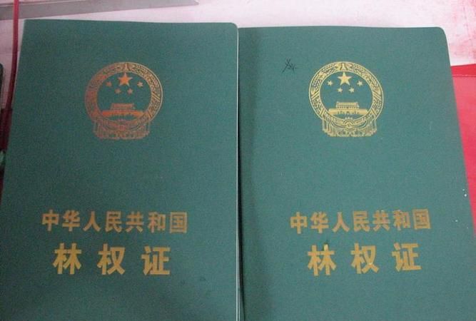 贷款用林权证抵押合法吗 贷款用林权证抵押合法吗