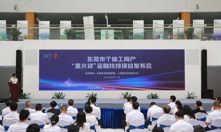 揭秘东莞东城物流贷款公司，风险与机遇并存