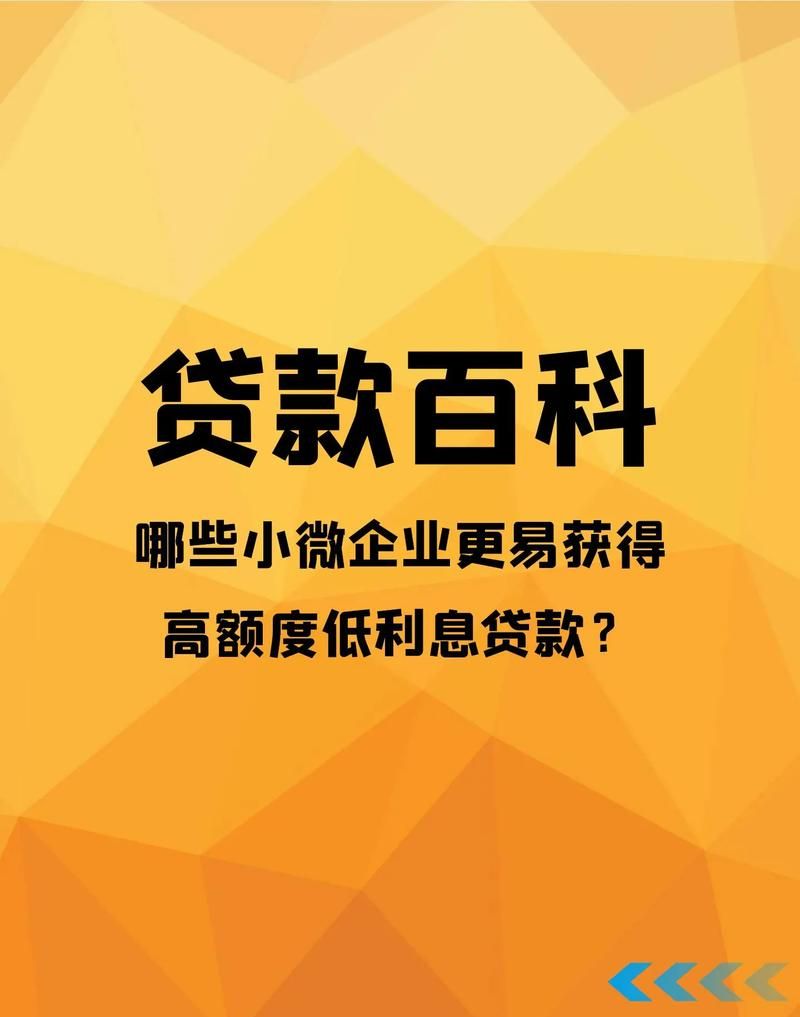 惠州惠城区小额贷款公司,助力小微企业发展的金融力量 惠州惠城区小额贷款公司,助力小微企业发展的金融力量
