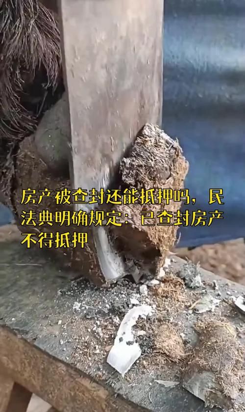 抵押查封的房产还能出租吗? 抵押查封的房产还能出租吗?