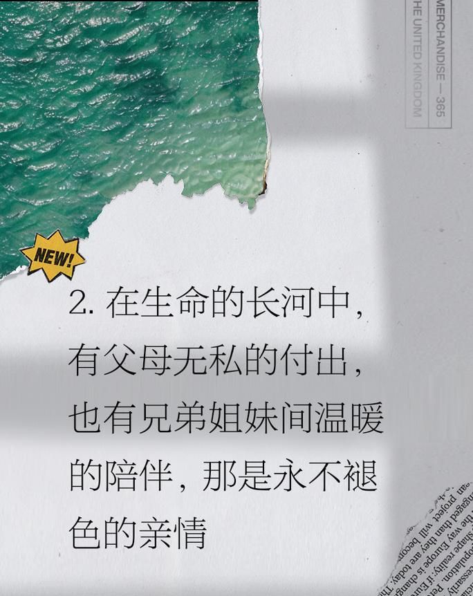 兄弟抵押母亲房产，亲情与现实的挣扎