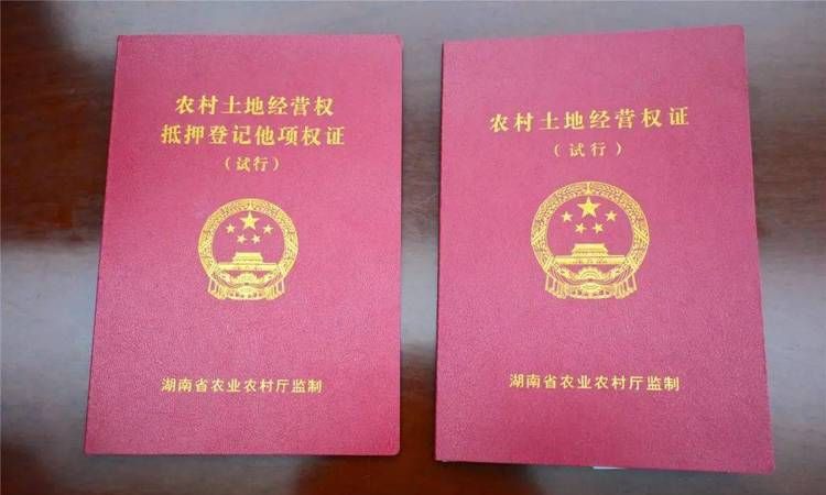 抵押的房产证它项换证,流程、意义与注意事项 抵押的房产证它项换证,流程、意义与注意事项