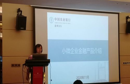 惠州蓝天普惠贷款,了解与注意事项 惠州蓝天普惠贷款,了解与注意事项